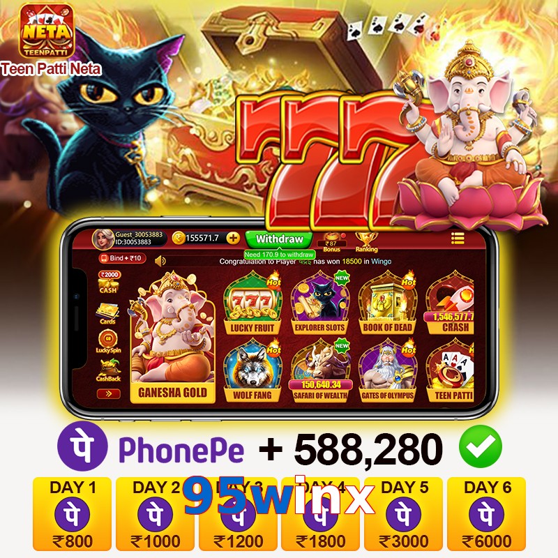 95winx