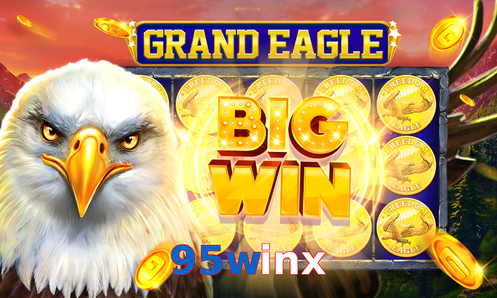 95winx