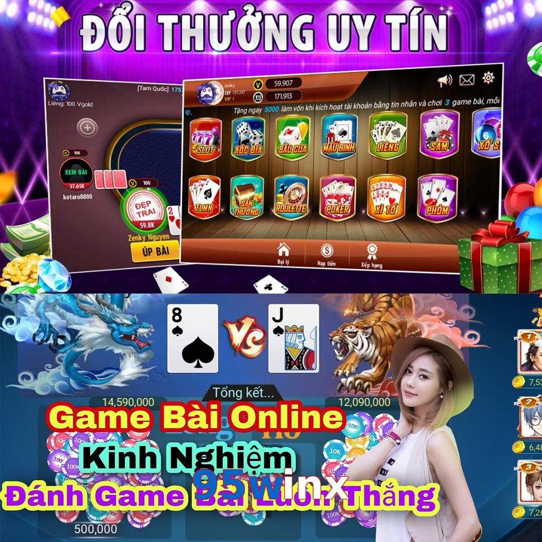 95winx