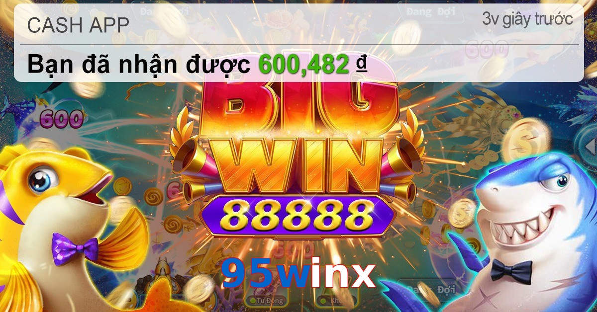 95winx