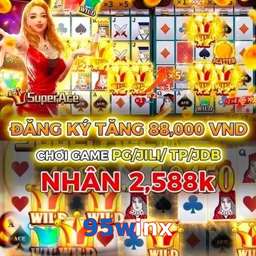 95winx