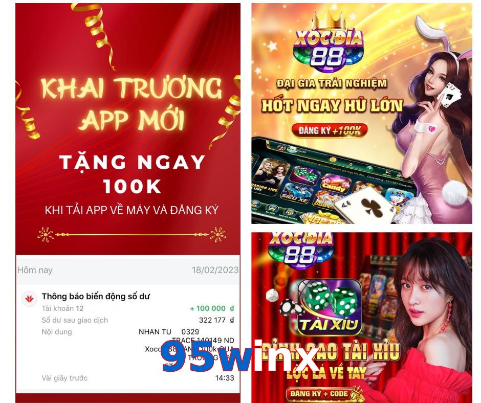 95winx